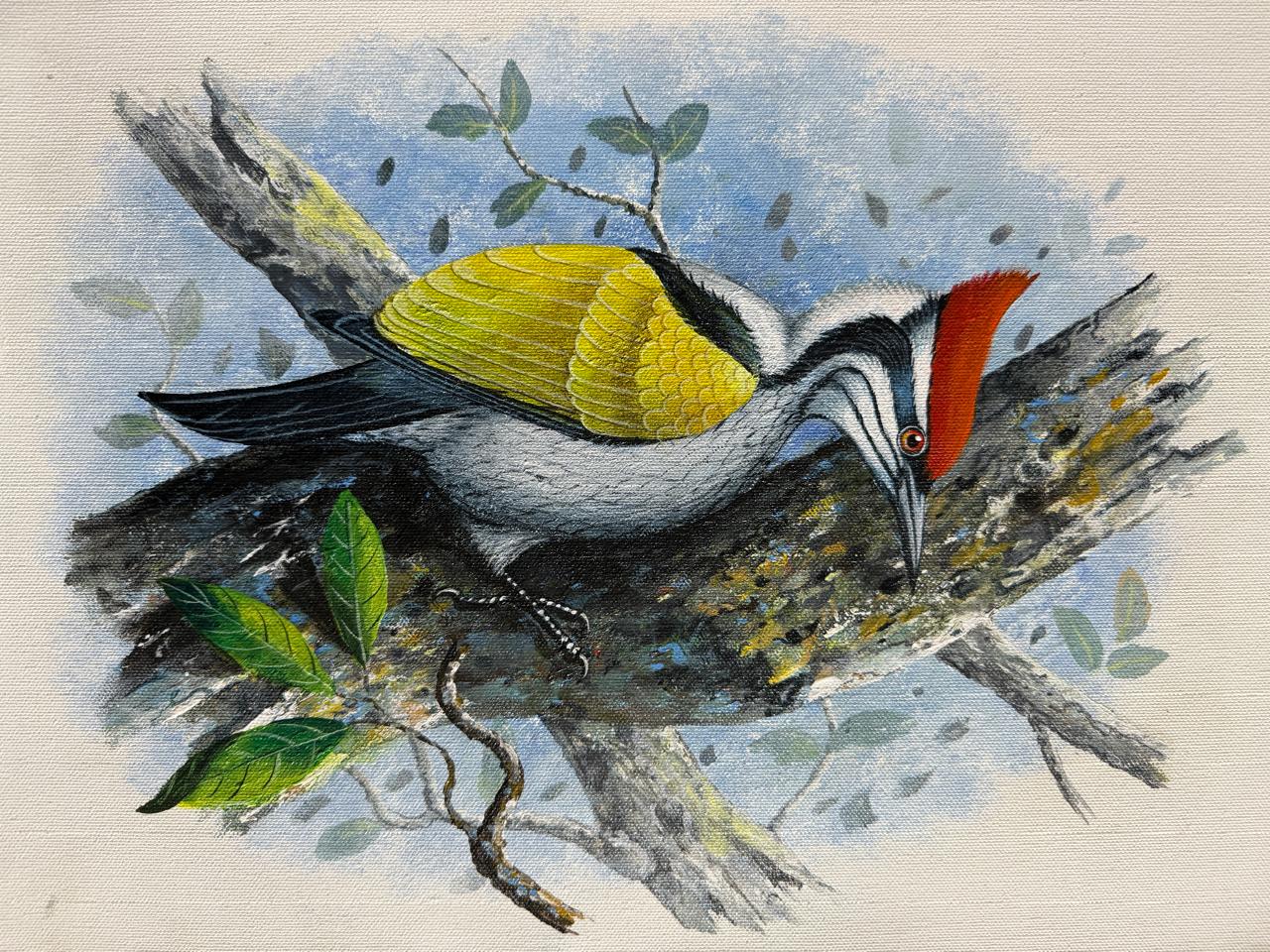 Birds