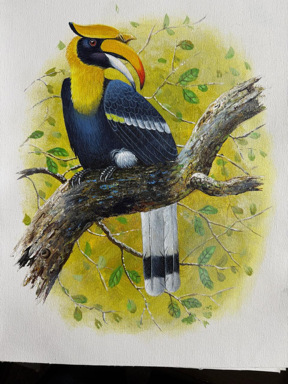 Birds