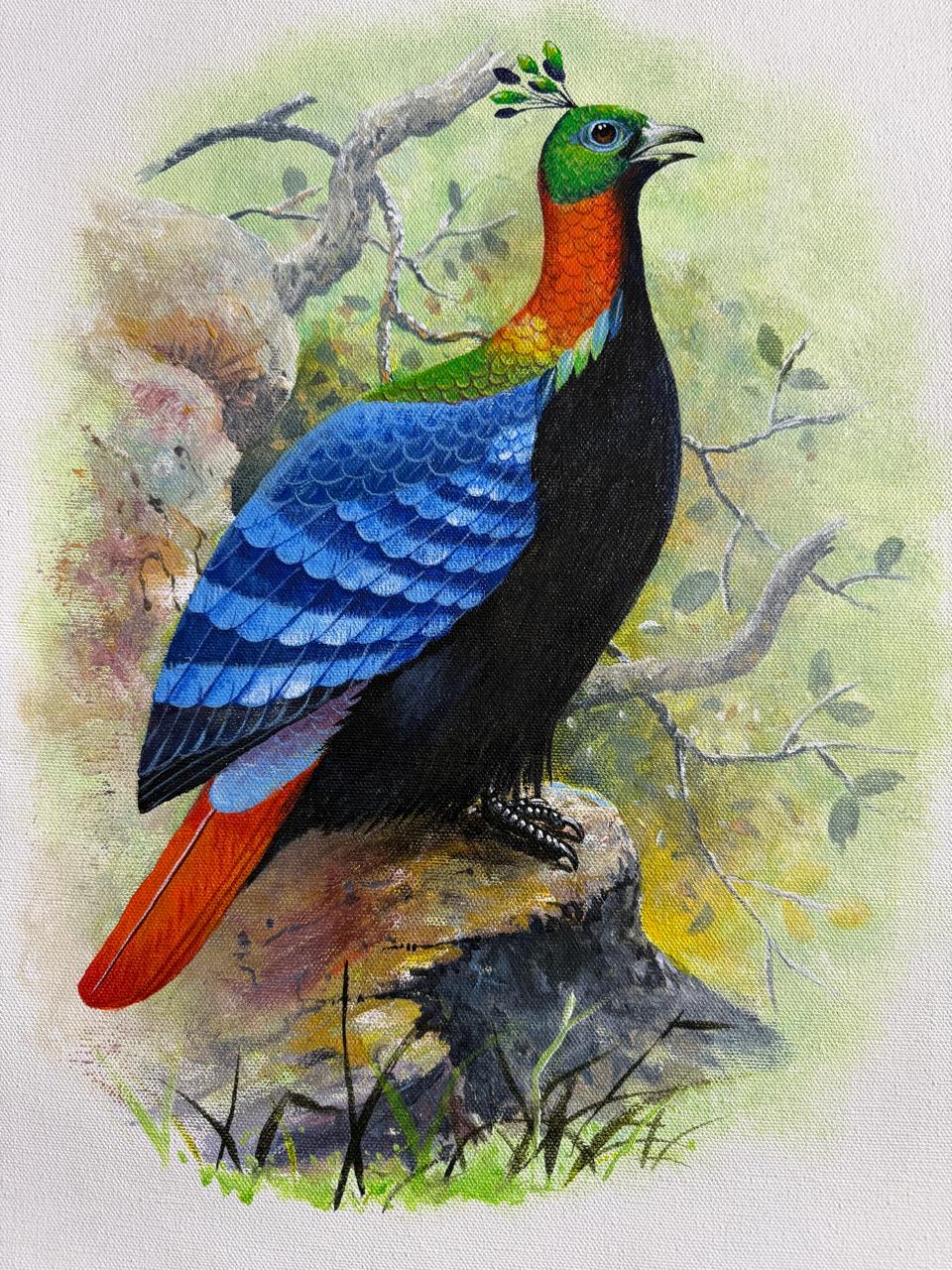 Birds