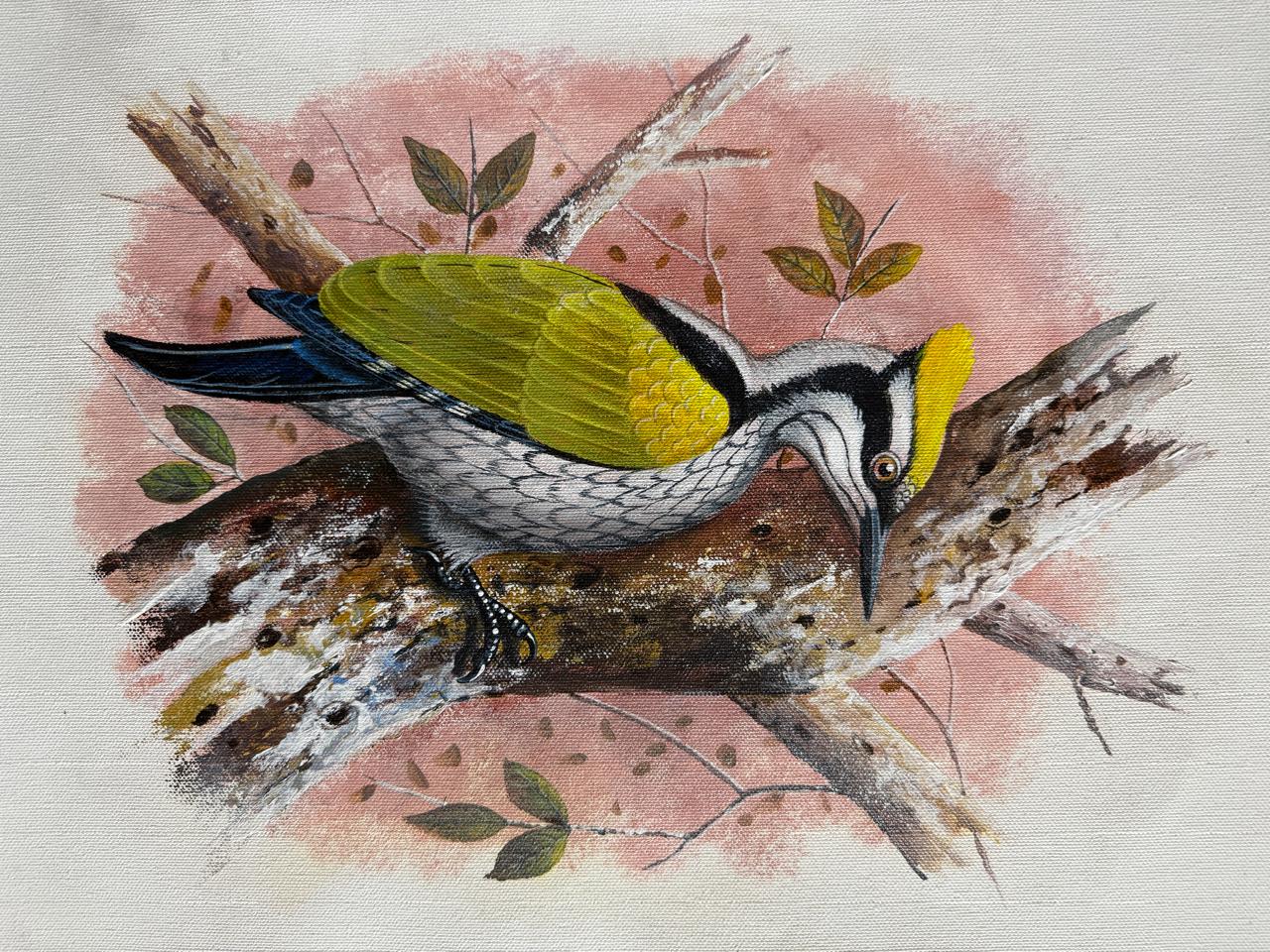 Birds