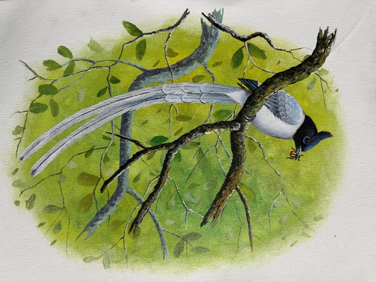 Birds