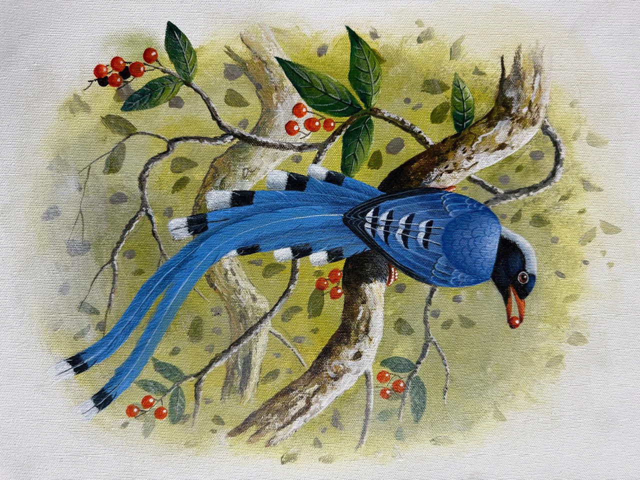 Birds