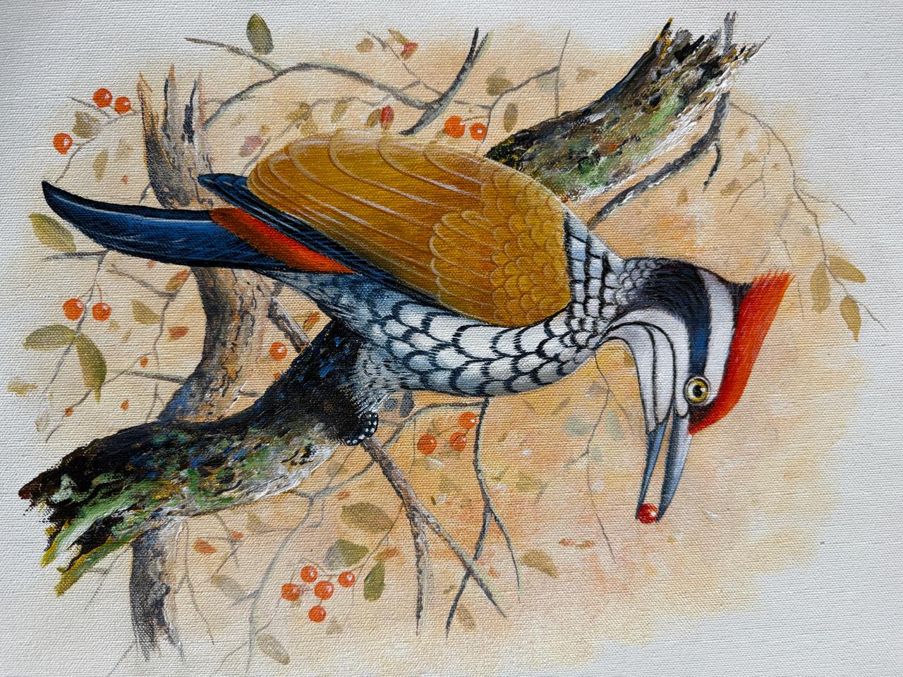 Birds